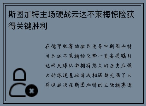 斯图加特主场硬战云达不莱梅惊险获得关键胜利